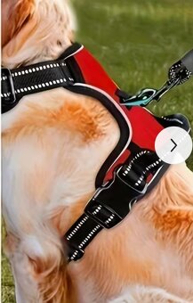 Postroj na psa XL - 6