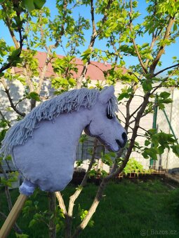Hobby horse - 6