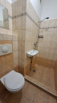 Prodej bytu 1 + kk ve Znojmě - 6