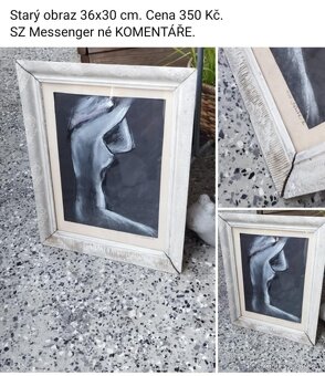 Staré obrazy a obrázky viz fota. Ceny viz fota. - 6