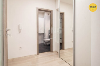 Pronájem bytu 1+kk s parkovacím stáním, ul. Halasova, 133012 - 6
