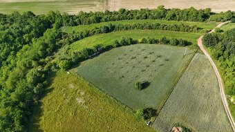 Prodej 1/4 pozemku, Bechlín - 6