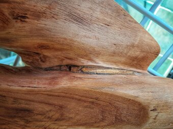 Skulptura - meruňkové dřevo - 6