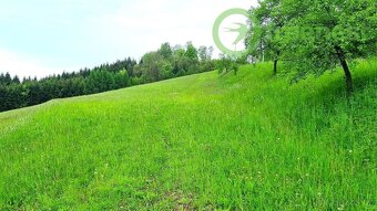Prodej pozemku k bydlení Orlické Podhůří, Rozsocha - 6