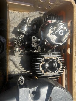 Jawa 50 , Pionyr - 6