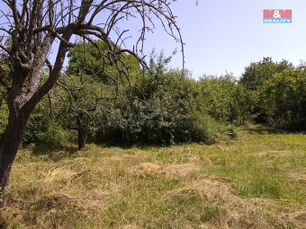 Prodej pozemku 3077 m2 , Horka I - 6