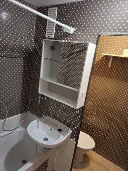 Pronájem 1+1 39m2 s balkónem a sklepní kójí - 6
