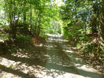 Prodej chaty 44 m2, pozemek 100 m2 v Dolní Stropnici, okr.Če - 6