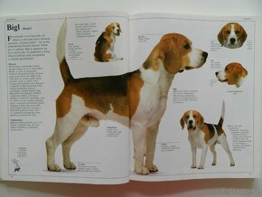 Velká kniha o psech - 6