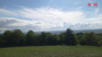 Prodej louky, 13227 m², Jenčice - 6