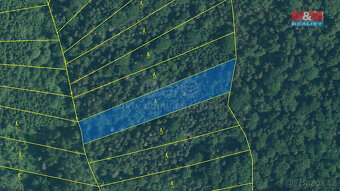 Prodej lesa, 8758 m², Čepice - 6