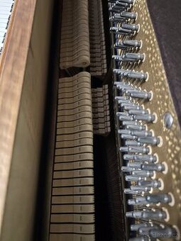 Piano A. Grand - 6