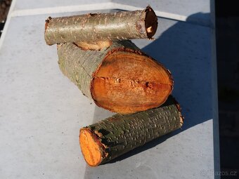 štěpkovac špalíkovač za traktor do120mm s dopravnikem - 6