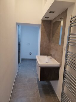 Pronájem bytu 3+KK - 6