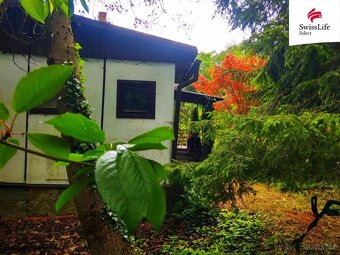 Prodej chaty 40 m2, Radešín - 6