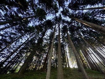 Prodej, pozemek, 56 548 m,  47, Hutisko-Solanec - Solanec po - 6