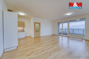Pronájem bytu 3+kk, 95 m², Plzeň, ul. Nemocniční - 6