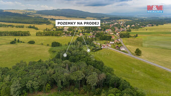 Prodej louky, 4178 m², Dětřichov - 6