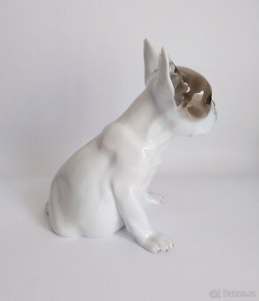 Porcelánová figura francouzského buldočka - Rosenthal - 6
