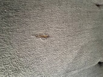 Velká rozkládací sedačka - 6