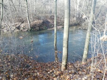 Zahradka u jezera Poděbrady (i s člunem) možnost splátek - 6