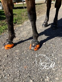 Boty pro koně Goodsmith - 6