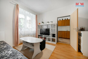 Prodej bytu 1+1, 37 m², Svitavy, ul. Mánesova - 6