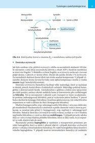Fyziologie a patologická fyziologie pro klinickou praxi PDF - 6
