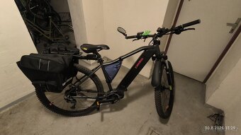 PELLS Thoor Base - 6