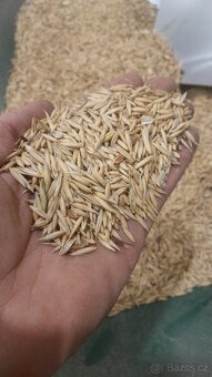 Extrudovaná sója, pšenice, ječmen, proso žluté - 6