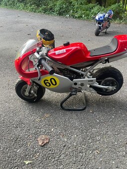Koupím Blata minibike - 6