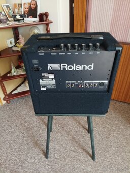 Yamaha PSR-S650 + Roland KC-80 - 6