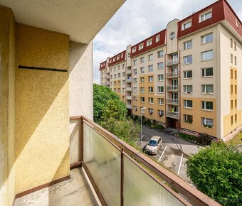 Prodej prostorného bytu 3+1 69 m², Žamberk - 6