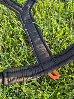 Non-stop dogwear, postroj Line 5.0 - 6