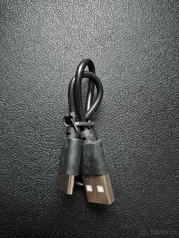 Bezdráová slucháka - 6