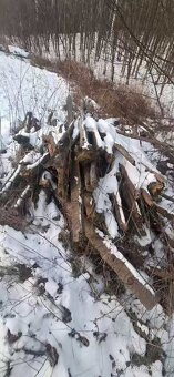 Palivové dřevo - 6