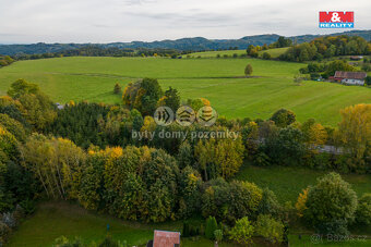 Prodej lesa, 752 m², Kosov - 6