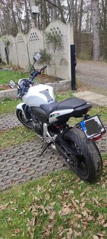 Honda Hornet CB600F - 6