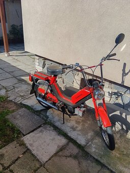 Babetta - 6