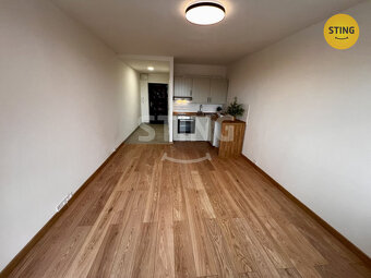 Pronájem zrekonstruovaného bytu 1+kk, ul. Francouzsk, 134087 - 6