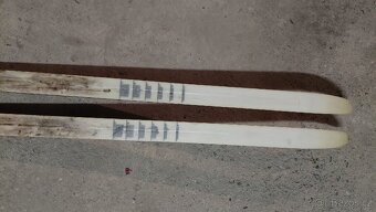 Běžky Sporten 160cm - 6