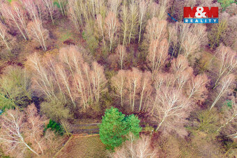 Prodej louky, 6306 m², Arnoltice - 6