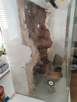 Starší terárium - 6