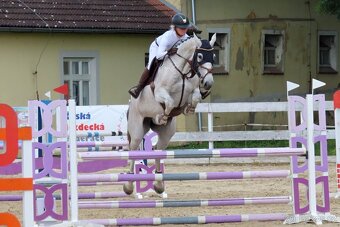 Klisna 15 let - 6