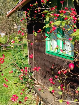 Zahrada s chatkou - 6