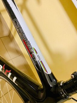 Rose red.bull carbonSL [ silnicka ] - 6