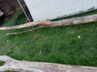 Prodám zvoničky - 6