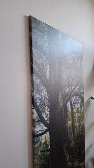 Velký obraz 150x80 - 6