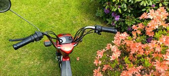 Hero puch automatic winner 49ccm 2takt - 6