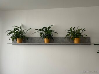 Nábytek a sedačka do obývacího pokoje - 6